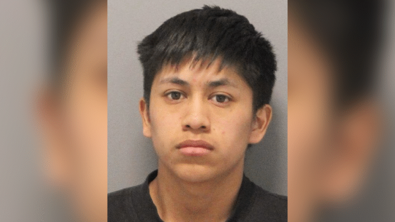 Baby Beaten to Death: Immigration and Child Welfare Under Scrutiny